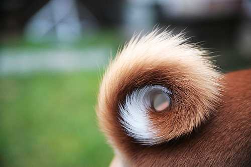 4342