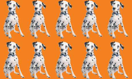 Dog-cloning-010
