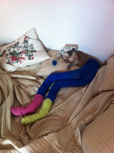 cat-in-tights_1
