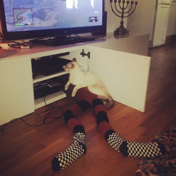 cat-in-tights_12