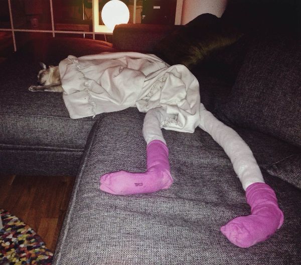 cat-in-tights_13