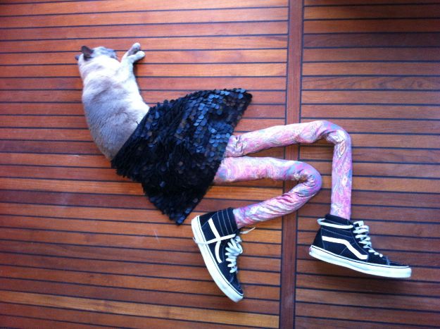cat-in-tights_3