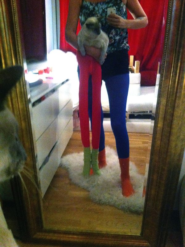 cat-in-tights_8