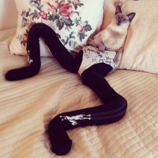 cat-in-tights_9