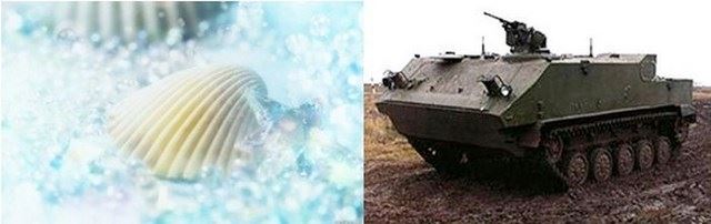 officeplankton.com.ua -01.12.2013-1-RUSSIAN ORUJIE-11