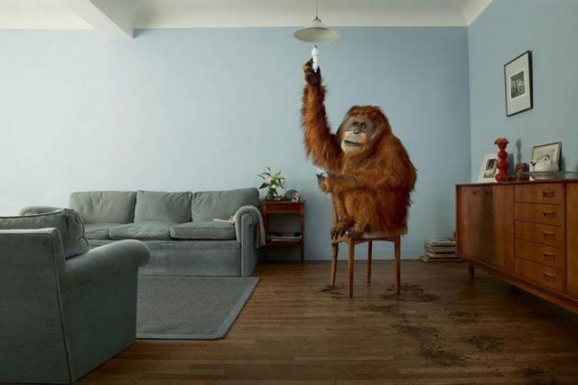 advert-photography-by-jean-yves-lemoigne_5
