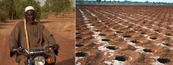 man-who-stopped-the-desert-2