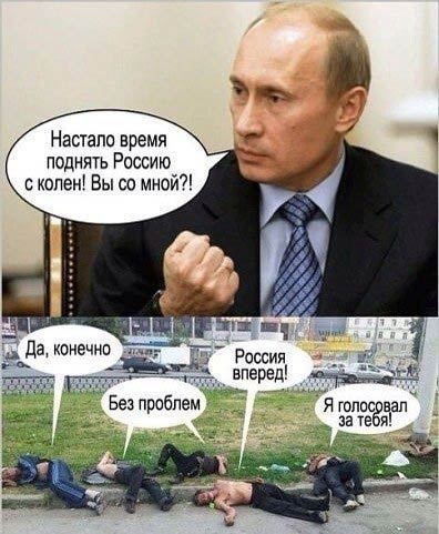 pricoli-humor-sochi2014-15