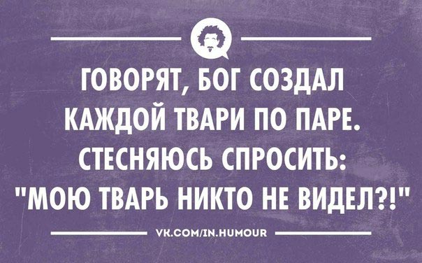 Интеллектуальный пятничный юмор и приколы.
