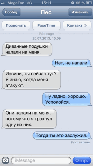 Что если бы ваша собака умела писать СМС?  Часть 1.
