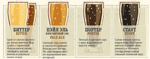 Основные сорта пива и их признаки.