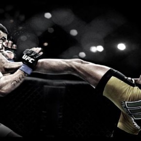 Топ 10 самых зрелищных моментов боев без правил UFC за 2012 год