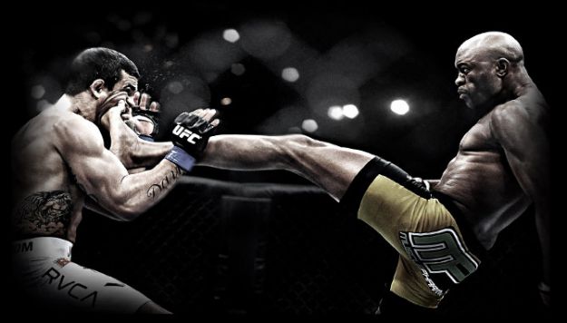 Топ 10 самых зрелищных моментов боев без правил UFC за 2012 год