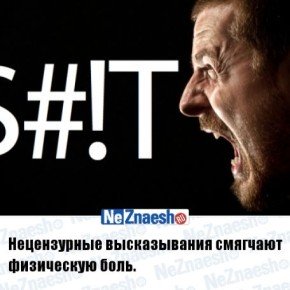 Веселые и интересные факты в картинках