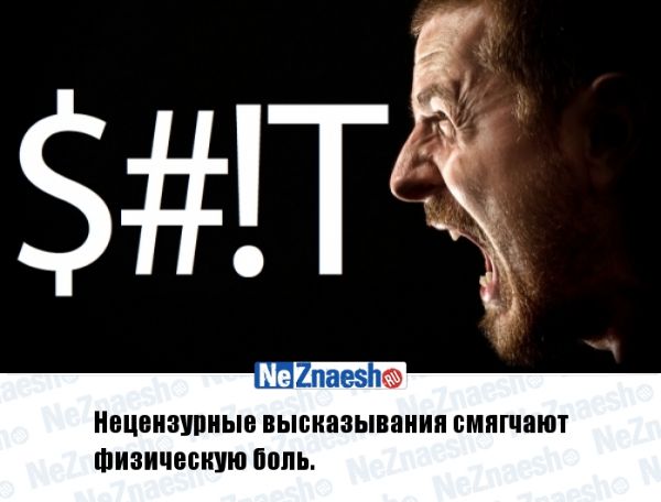 Веселые и интересные факты в картинках
