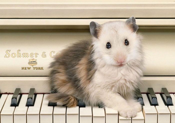 Фантастические животные, которых не существует в природе.