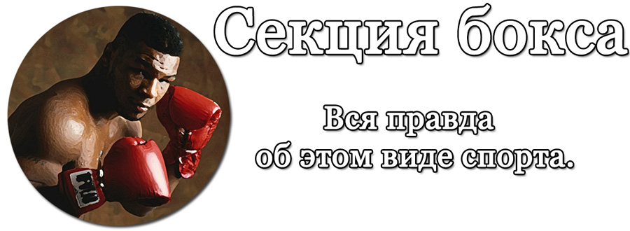 Секция бокса для начинающих: вся правда об этом виде спорта