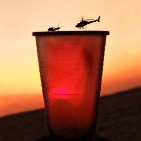 Фотографии из серии «Показалось»