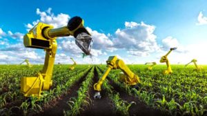 Япония создаст роботов-фермеров для развития сельского хозяйства.