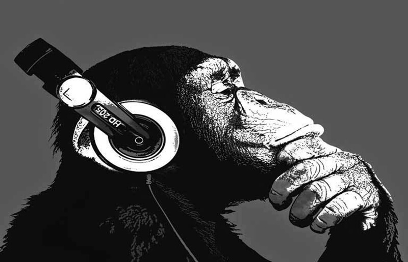 Как по нотам: 10 художественных книг о музыке и музыкантах
